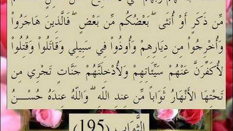 القران الكريم سورة آل عمران الأية 195