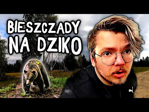 NOC Z NIEDŹWIEDZIAMI I POCIĄG WIDMO - Bieszczady Na Dziko