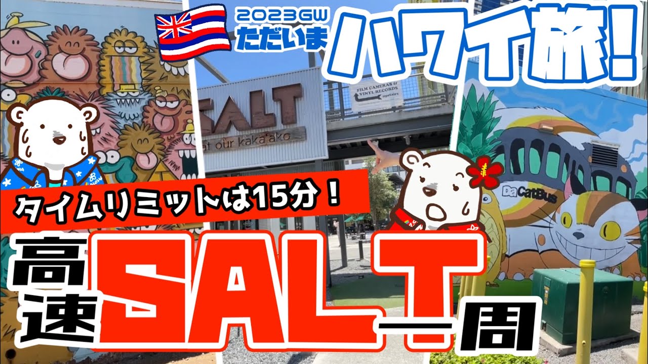 【2023ハワイ旅35】急げ！タイムリミットは15分！カカアコとSALT一周！