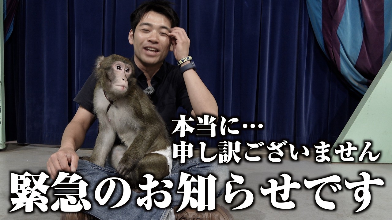 マジで緊急で撮影、編集をしました。関東進出についてなのですが…