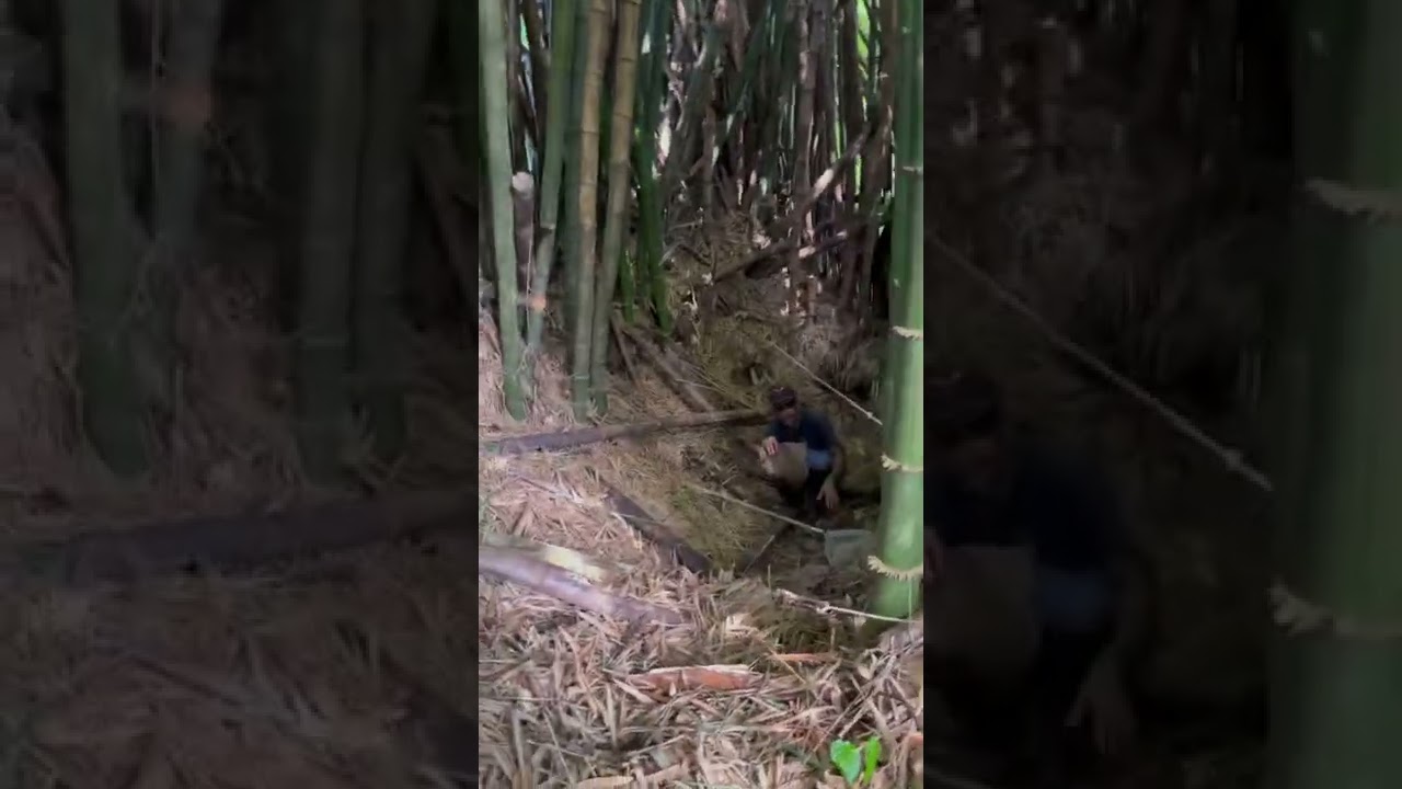 Segundo Video De Jaret Cagando En El Monte 😂💩 Youtube 