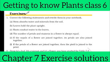 Getting to know Plants class 6 chapter 7 science exercise solutions explanation NCERT