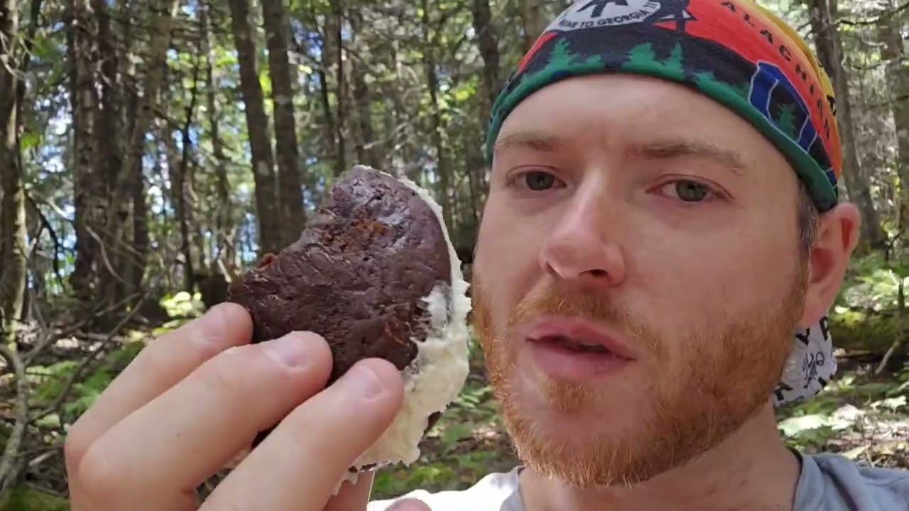 Heading to the Kinsmans on the Appalachian Trail. Day 225. August 14, 2025.