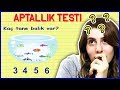 Aptallık Testi Yaptım Dila Kent