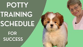 Potty Training Schedule: Step by Step Instructions To Potty Train Your Puppy -