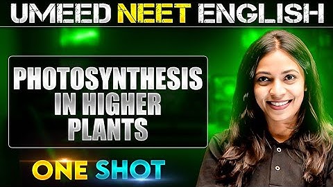 PHOTOSYNTHESIS IN HIGHER PLANTS in 1 Shot | All concepts Covered | UMEED NEET in Pure English