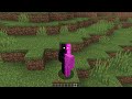 Minecraft Hardcore