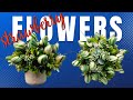Strawberry Flowers | Chocolate Strawberry Bouquet | DIY Gift Idea