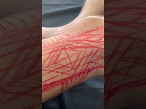 🕊️