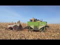 Gleaner C2 - Corn Harvest 2019