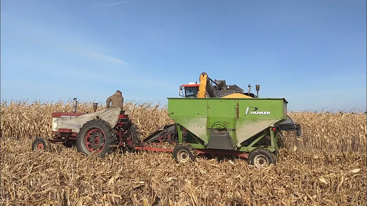 Gleaner C2 - Corn Harvest 2019