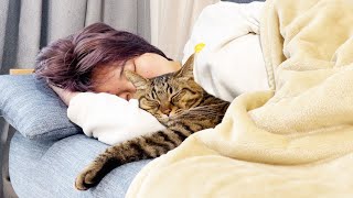 大好きなママから1ミリも離れたくない、超甘えん坊な猫