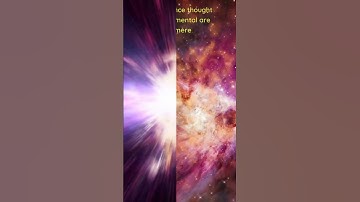 Is The Entire Universe a Single Quantum Object?