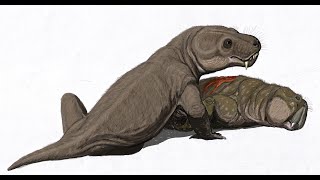 Therocephalians: Beast Headed Proto-Mammals by Dr. Polaris 13,097 views 3 months ago 10 minutes, 36 seconds