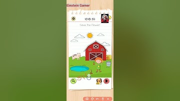 Brain test all star level 303 Walkthrough Solution