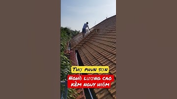 Không lo ngói đóng rong rêu nửa vì đã có sơn ngói xịn sò #shorts #ongbanson
