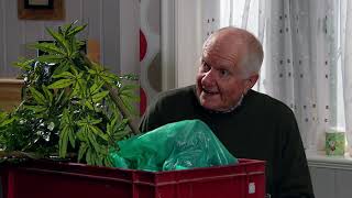 Emmerdale - Liv Suggests Doug Makes Use of Gerry's Cannabis Plant