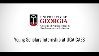 Sports Performance All about the Young Scholars Program