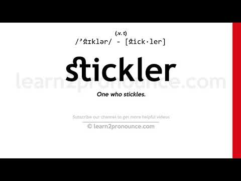 Pagbigkas ng taong makulit | Kahulugan ng Stickler