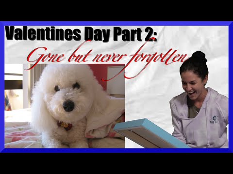 Valentine's Day: Part 2