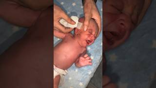 Im Really Sorry, But Its Important For Me To Take Care Of My Precious Baby.\