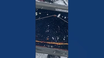 Lowrance Active Target. Snow storm Muskie jigging 🎯🎣