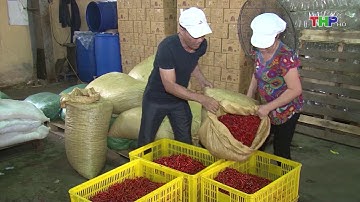 Vấn đề giải cứu nông sản