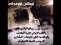 شيله ي معلقين الذيب بالطراف رجليه