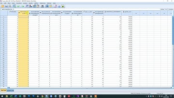 How to import an excel file to SPSS (Part 3)