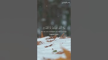 #سورة_الكافرون ياسر الدوسري