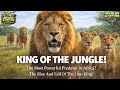 Lion Facts That Prove They Are True Kings! 