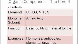 Bio   Module 2 Graphic Organizer Notes