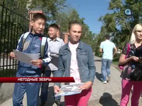 Негодные зебры