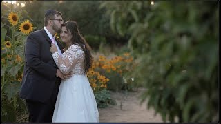 Leah &amp; Roman / Farmstead at Long Meadow Ranch / Napa Valley