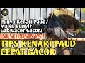 SAMPAI EMOSI‼️ Punya Kenari Paud Gak GACOR❓Begini CARA MERAWAT BURUNG KENARI SUPAYA CEPAT GACOR