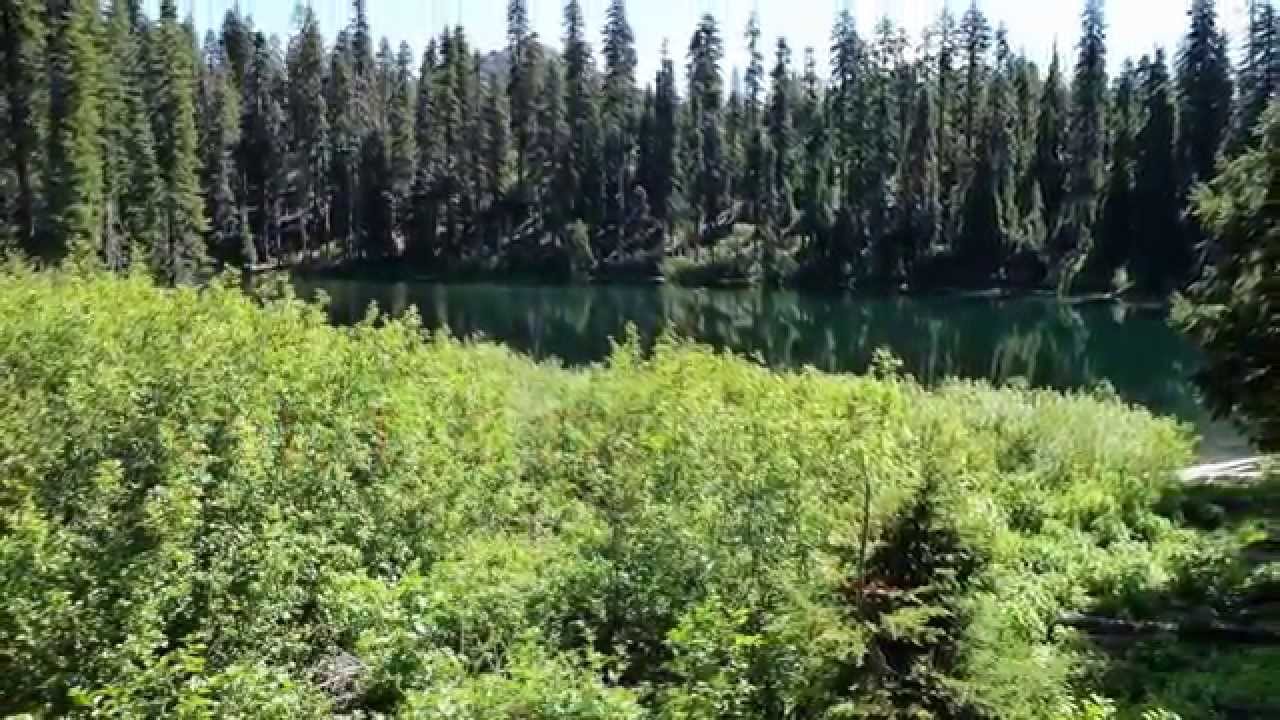 bitte lasst ein abo da es kommt viel mehr aber auch neuesachen