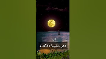 واشرقت الأرض بنور ربها تلاوة خاشعة للشيخ عبد الباسط عبد الصمد