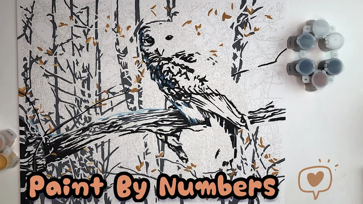 Paint By Numbers - Wise Owl (Timelapse)