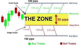 Hedging Trading Strategy with an Expert Advisor (EA) - Profits from ANY Direction