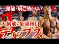 【完全解説】筋トレ初心者にも分かりやすいディップスのやり方。三頭筋や肩に効かせない極意!