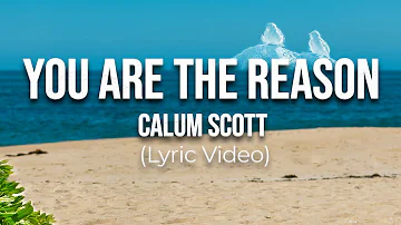 You Are The Reason - Calum Scott (Lyrics)