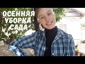 На Кубани осень. Недельный влог.