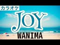 JOY/WANIMA【カラオケ】原曲風・ガイドあり