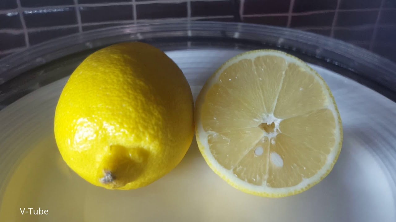 Lemon in a vacuum chamber YouTube