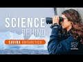 Why Krill Matter
