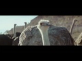 Psicologia. Lindo vídeo motivacional. Faça o impossível