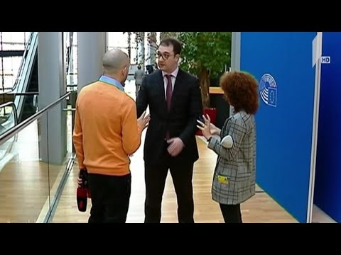 ვიზიტი სტრასბურგში