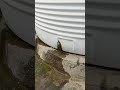 Sintex Tank Repair 9392323043 | Hishetha Water Tank Repairs