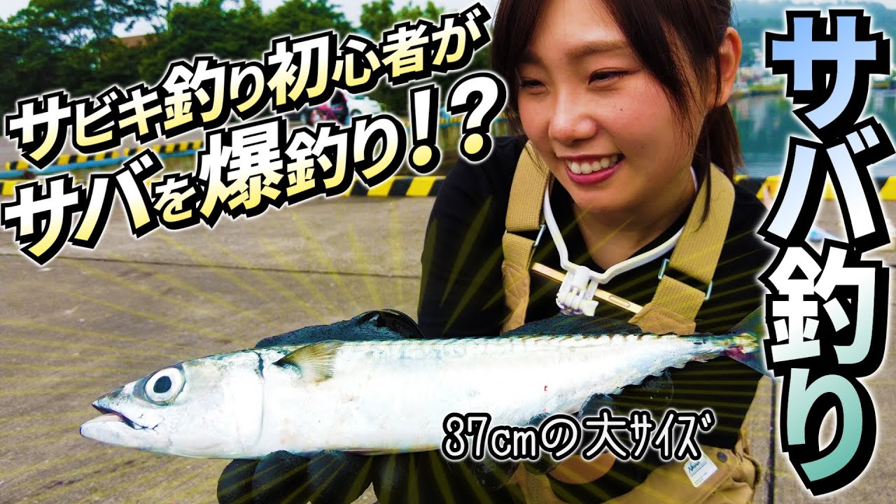 【北海道・サバ釣り】初心者でも、こんなに釣れるなんて！中・大サバ大漁釣り！【DAISO釣り竿】