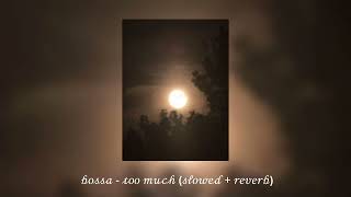 𝒷𝑜𝓈𝓈𝒶 - 𝓉𝑜𝑜 𝓂𝓊𝒸𝒽 𝓈𝓁𝑜𝓌𝑒𝒹 𝓇𝑒𝓋𝑒𝓇𝒷